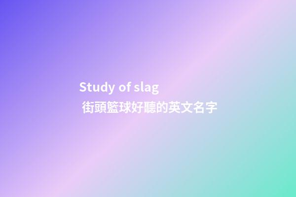 Study of slag 街頭籃球好聽的英文名字